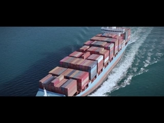 50Hz 60Hz 출력 공장과 다중 보호 단일 / 3상 VFD