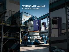 수직 분쇄기의 VEIKONG VFD